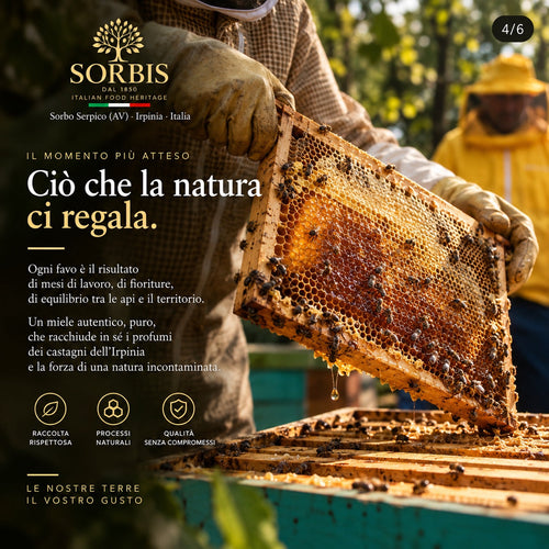Lavorazione del miele SORBIS in Irpinia